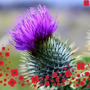 Meet your Posher, Gillian